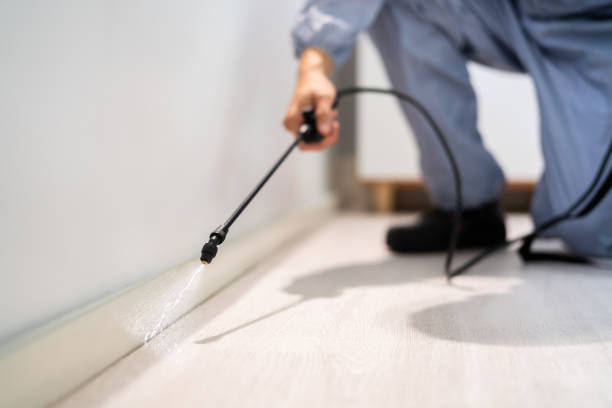 Rodent Entry Point Assessment in Pensacola