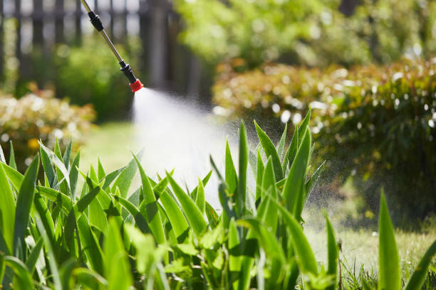Tamper-Resistant Bait Stations for Rodents in Pensacola