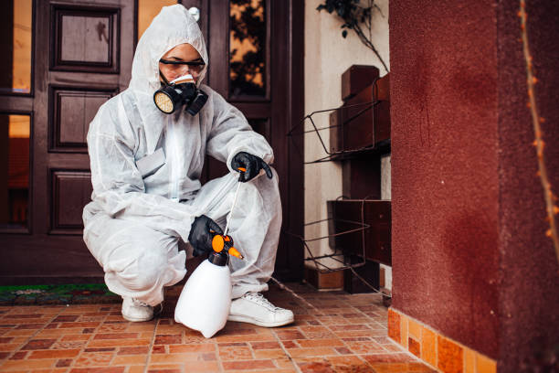 Attic and Crawl Space Rodent Treatment in Pensacola