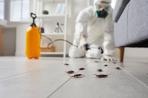 Commercial Rodent Management in Pensacola